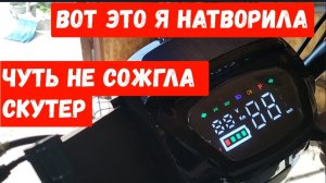 216🏡Натворила делов/Занялась теплицей/Обработка/Высадила помидоры/Что добавила в грунт