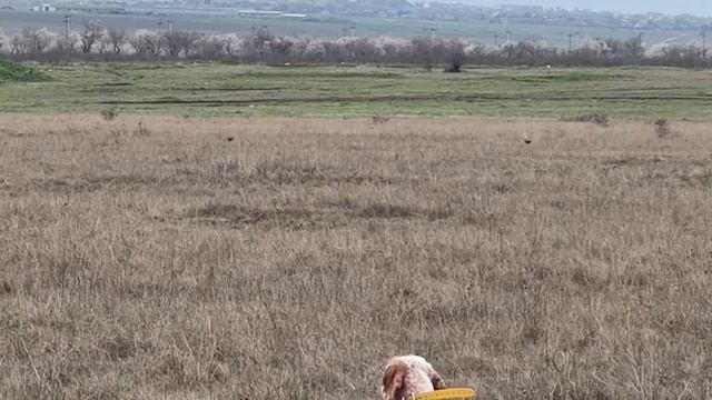 Федора. 31.03.26