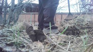 Исполняю послушание: по маминой просьбе убираю сухую траву