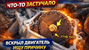 СТУК ПОЯВИЛСЯ ВНЕЗАПНО — ЛЕЗУ В ДВИГАТЕЛЬ ИСКАТЬ ПРОБЛЕМУ