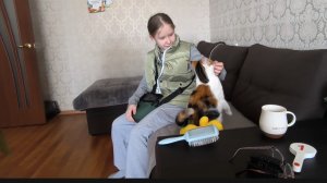 Любашины будни,приехала Вероничка 😊‼️