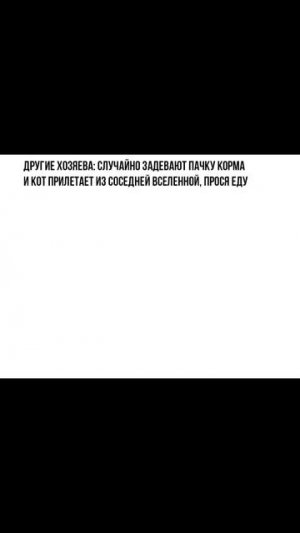 Я под столом)) 5D-мемы