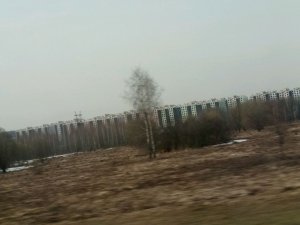 иди в картошку фри, гуляем