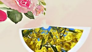 Весна! Мимозы для моей очаровательной ЗАНОЗЫ 4! Киностудия Мудрого Кота Тимофея!