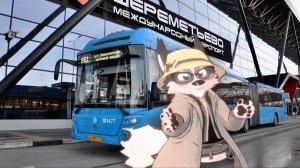 Напердел в автобусе