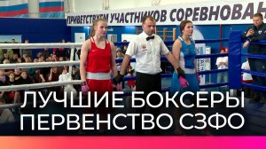 В Любытине прошло Первенство СЗФО по боксу