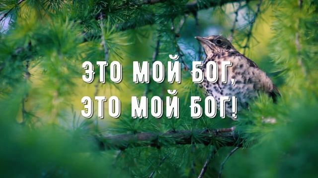 Это мой Бог - минус мой 2