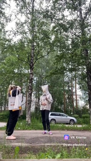 5 лет котокафе!