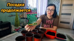 ПОСАДИЛА КАПУСТУ БРОККОЛИ 🥦 МОЯ РАССАДА НА 31 МАРТА 🌱🌱🌱
