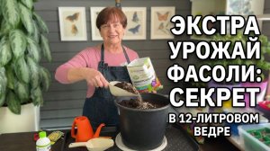Главное правило для посева фасоли.