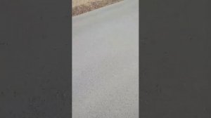 чем я занимаюсь на весенних каникулах