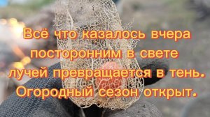 Всё что казалось вчера посторонним в свете лучей превращается в тень.30.03.26.Огородный сезон открыт