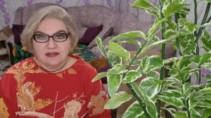 4 часть. 《Хочу шоколадку》- истерил с@пля в магазине❗️СКАНДАЛ у соседей❗️