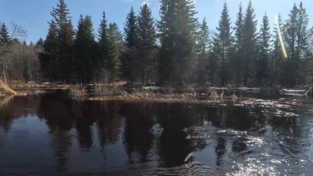 Открытие сезона, рыбалка на малой реке