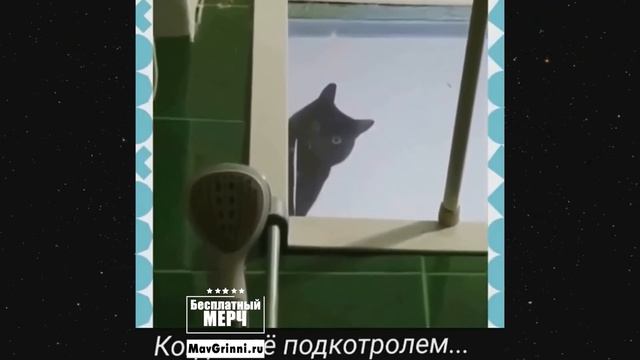 ЭТО БЕЗУМИЕ! Угарная подборка приколов НЕ ПЕЙТЕ ВОДУ ПЕРЕД ПРОСМОТРОМ!Ржака!Лол!Топ Смех Видео №260 смотреть онлайн