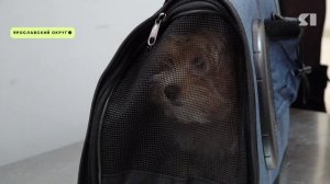 Ярославль открыл прямое авиасообщение с Нарьян-Маром