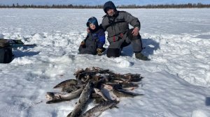 щука на жерлицы.окунь на мормышку.первая зимняя рыбалка Матвея.