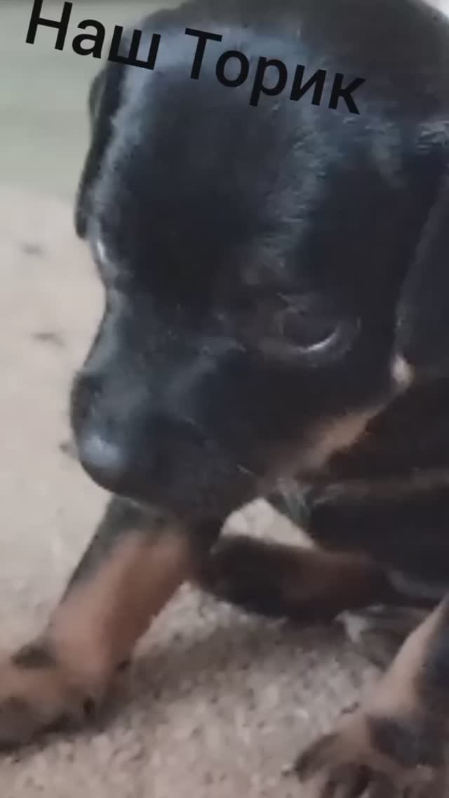 Наш Тор