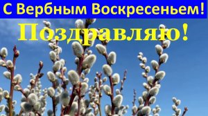 Пусть исполнится всё с Вербным Воскресеньем! Поздравление!