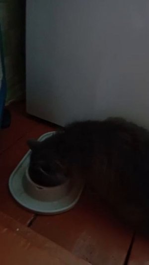 Мой Дымочек 🥰🥰🥰