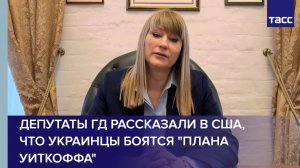 Депутаты ГД рассказали в США, что украинцы боятся плана Уиткоффа