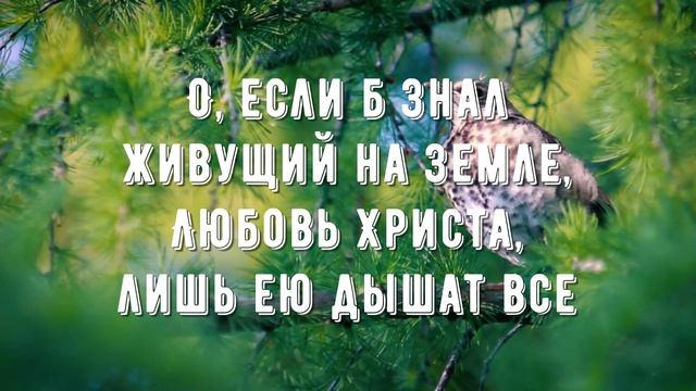 Любовь Христа безмерно велика - минус мой 2