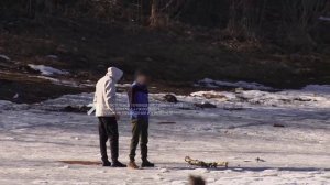 «Блок коротких новостей» 31.03.2026