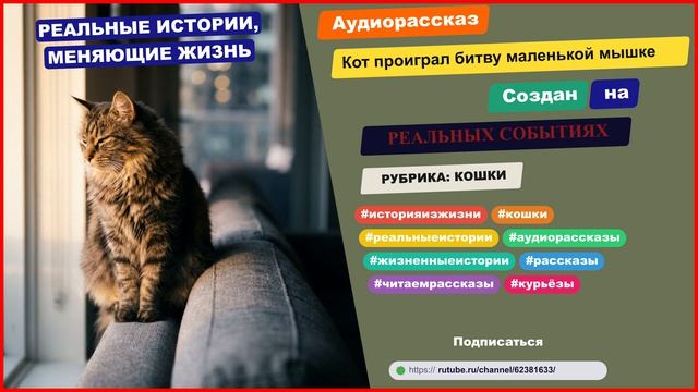История из жизни | Кот проиграл битву маленькой мышке | Аудио рассказ | Аудиокнига слушать онлайн