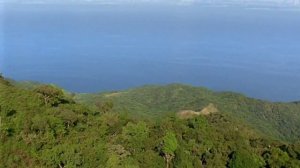 РАССЛАБЛЯЮЩАЯ МУЗЫКА