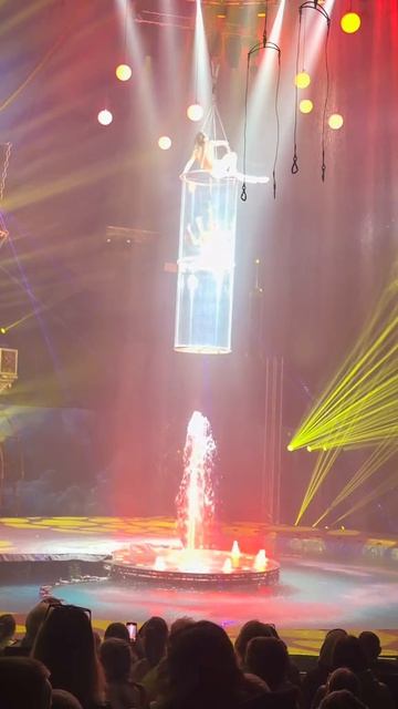 Цирк на воде