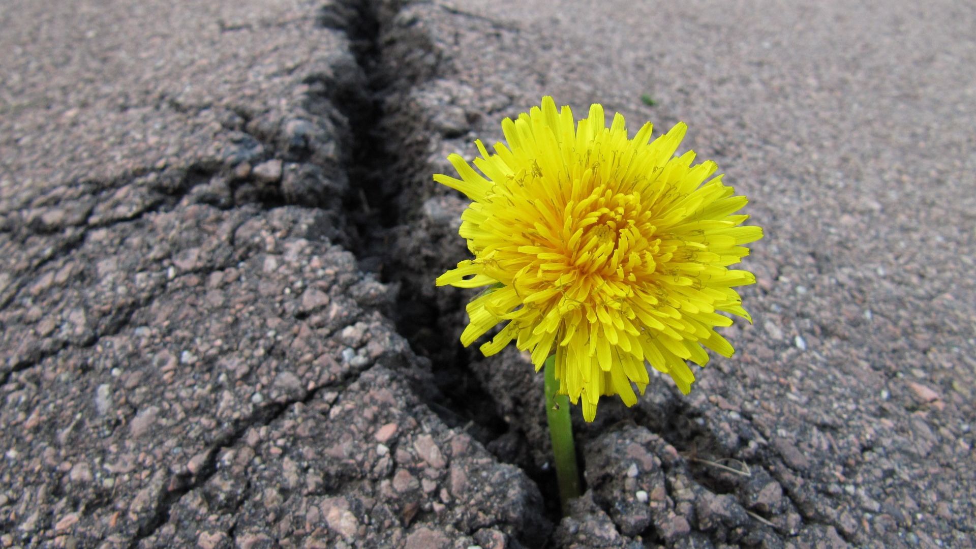 Почему умирает молитва в церкви