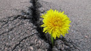 Почему умирает молитва в церкви