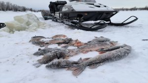 Рыбалка Сетями, Ставим Сети. Лучшая Зимняя Рыбалка. Гигантский Улов. Секретные Места Рыбалка Онлайн