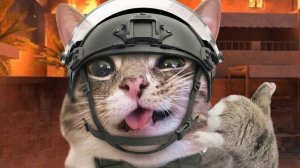 скоро 11 сезон в стендофф 2