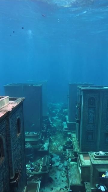 Подводный город: загадка и красота океана #подводныймир #океан #загадки