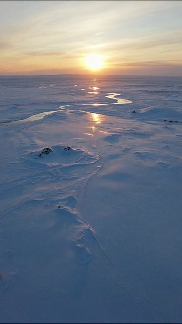 Зимний закат над снежными просторами #природа #закат #зима