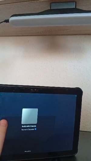 играю с Данилом в роблокс.