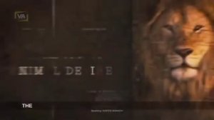 Jim Carrey explains how to Open your 3rd eye .mp4