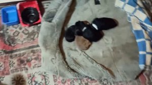 30 декабря 2023г.Мой дом.С наступающим,друзья!