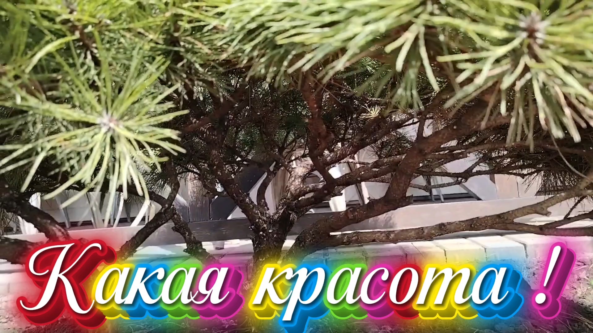 Ейск ! Работа , готовка, дела в центре, магазины, цены, покупки, прогулка, встречает внучка !