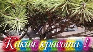 Ейск ! Работа , готовка, дела в центре, магазины, цены, покупки, прогулка, встречает внучка !