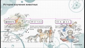 Биология 8 класс параграф 1 Зоология — наука о животных краткий пересказ