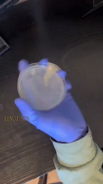 Вредная пицца