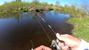 Рыбалка с берега. Рыбалка на щуку.  Ловля щуки на озере.  Спиннинг .  Рыбалка 2026.