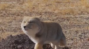 Это мы смотрим, кто еще не подписался на наш канал в МАХ 👀