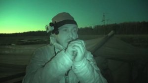 Охота на гуся на болотах