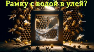 Рамка с водой вместо поилки: можно ли? / Отвечает профессор Кашковский