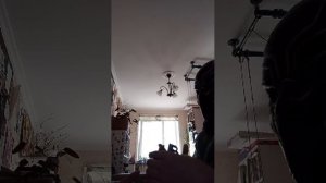 правда или действие стрим