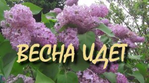 Все начинается весной.. 🎵Песня классная!