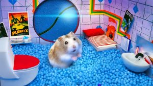 🐹 Хомяк сбегает из «Лунного лабиринта» для питомцев в реальной жизни.